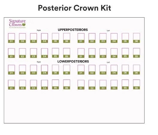 3M Paedodontic Zirconia Crowns Refill-D6-Posterior-Lower Left