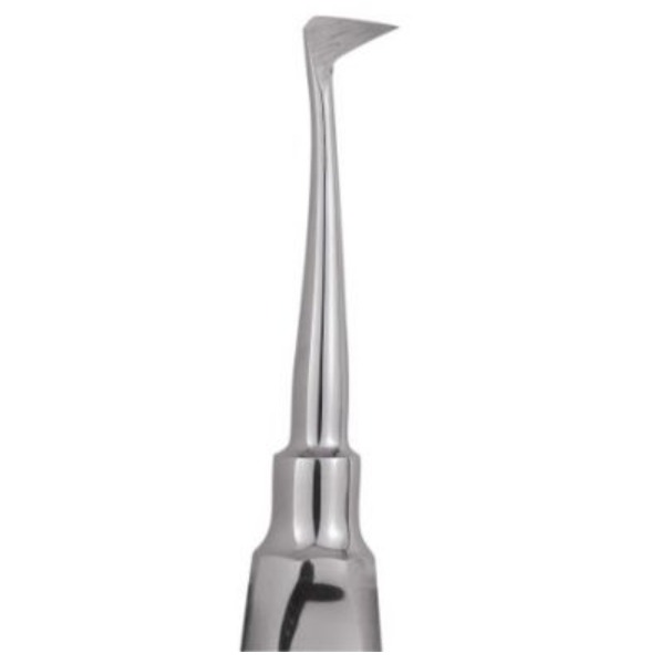 GDC Root Elevators Seldin Standard (E4l)