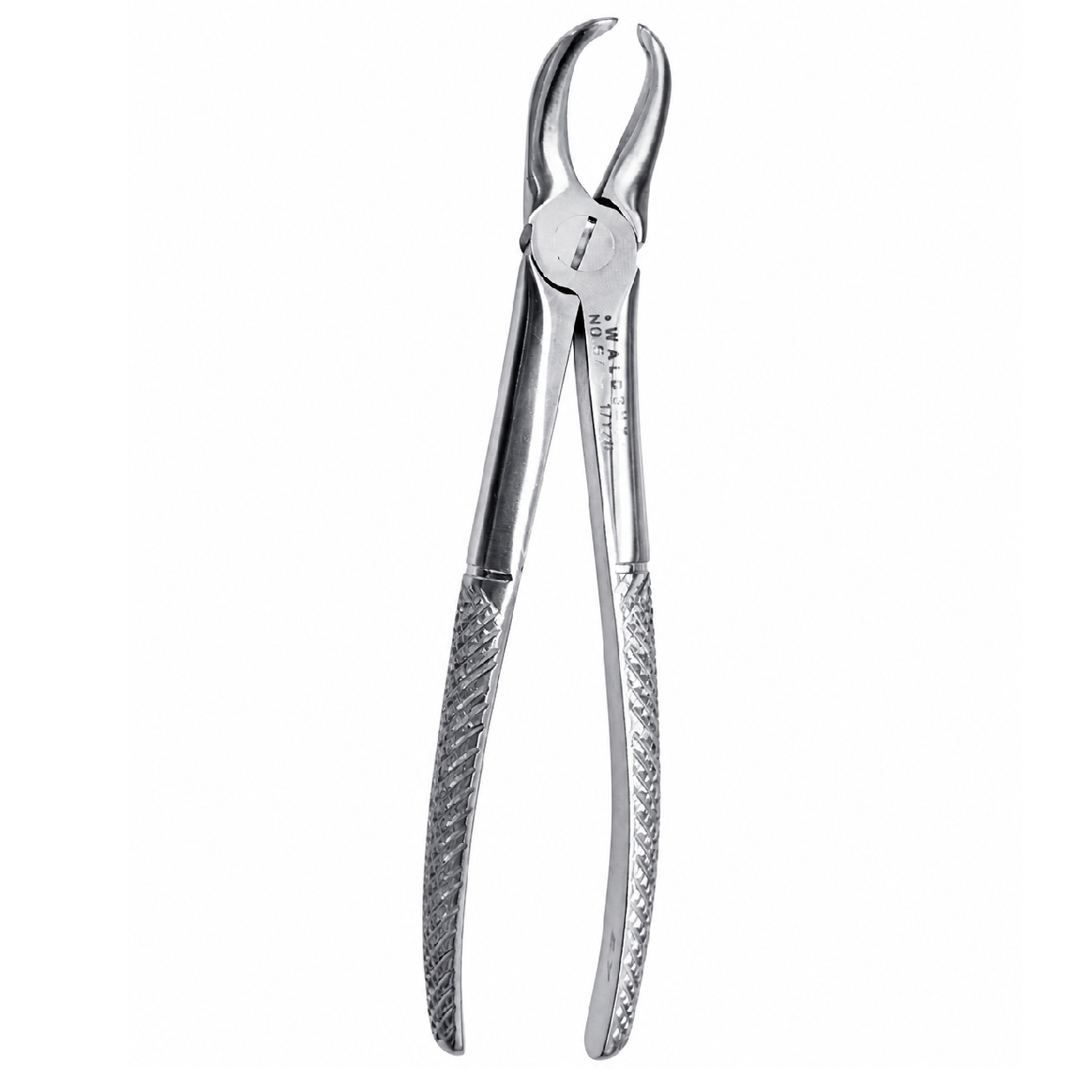Waldent Tooth Extraction Cowhorn Forceps Lower Molars No.87 (1/128)