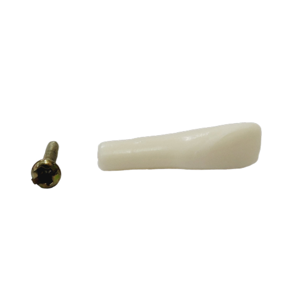 API Lower Left Lateral Incisor Typodonts Individual-B561-32