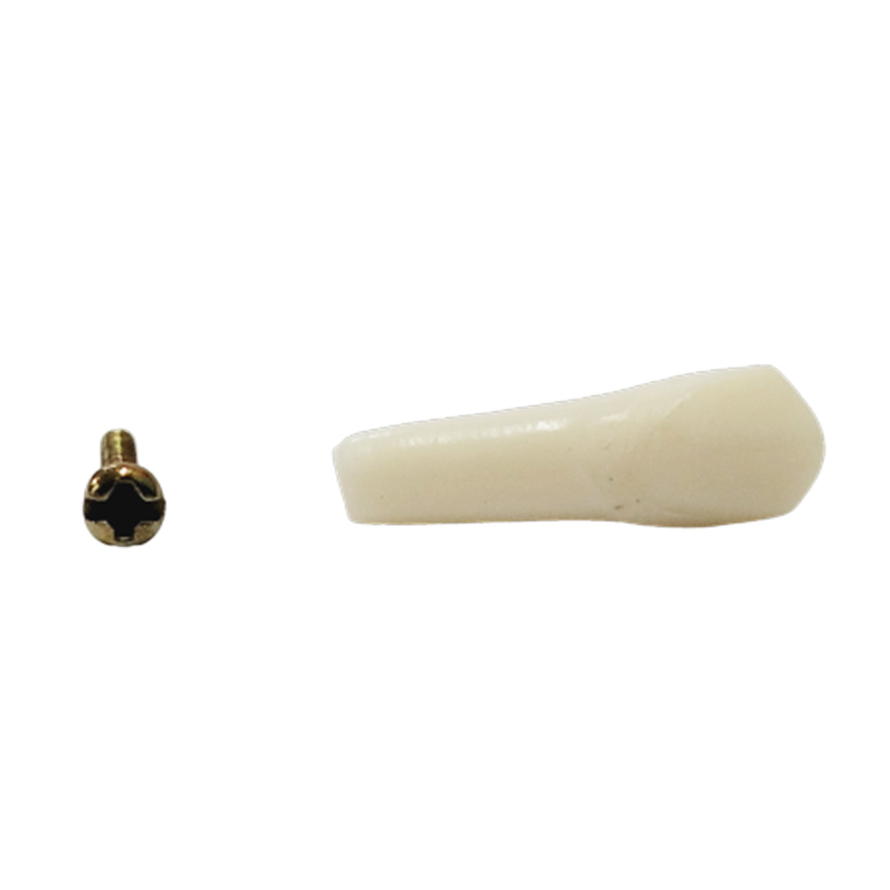 API Lower Right Canine Typodonts Individual-B561-43