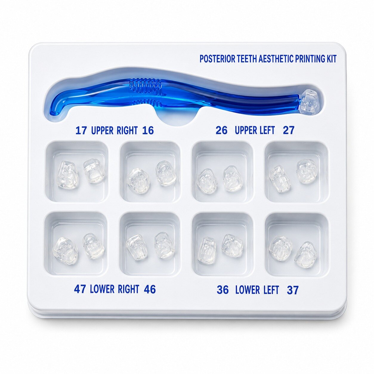 Dental Occlusal Stamp Kit | For Posterior Composite Restorations (16Pcs/Pack)