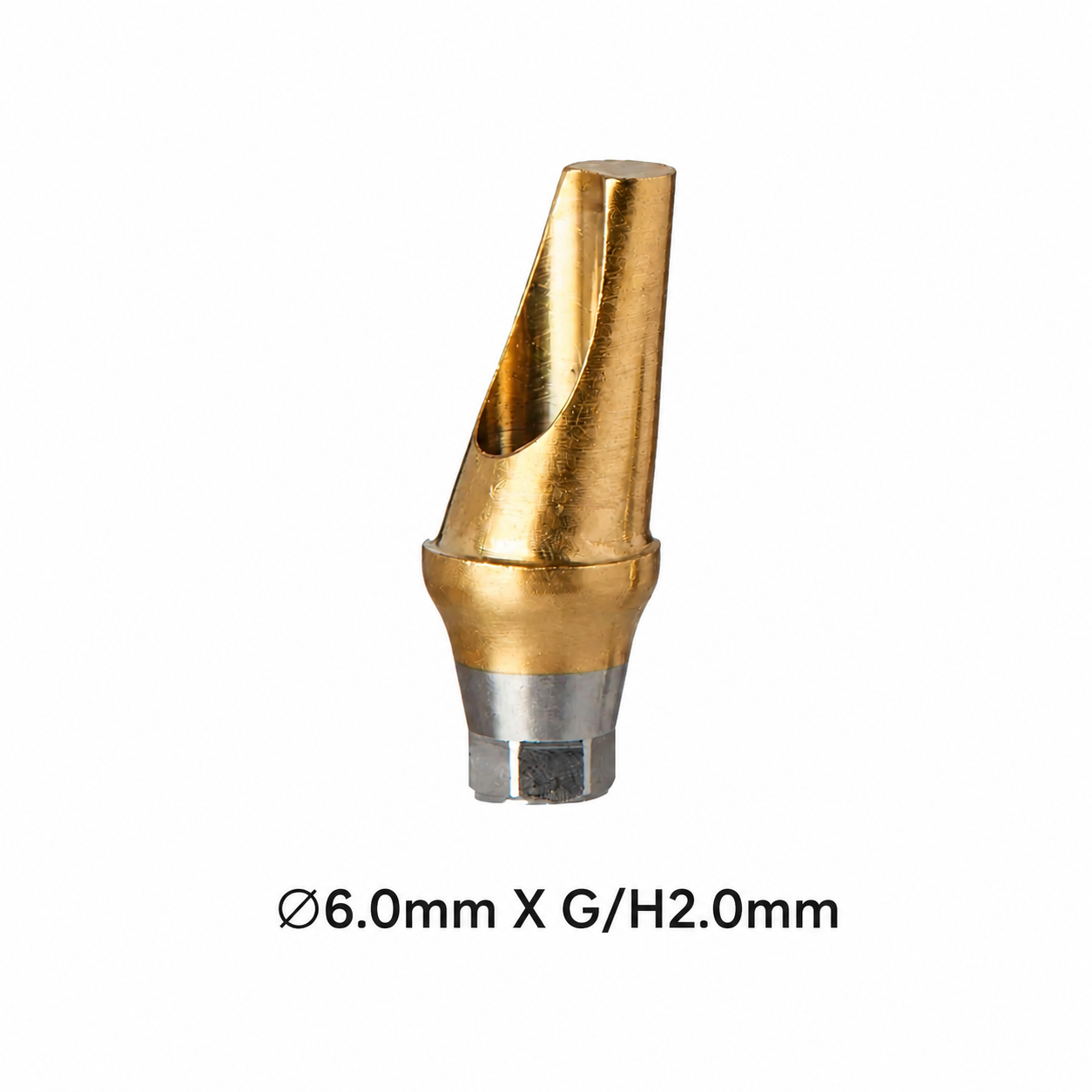 Dentaltech 17° Angular Abutment Regular ∅6.0mm X G/H2.0mm Position A - Osstem Implant Compatible