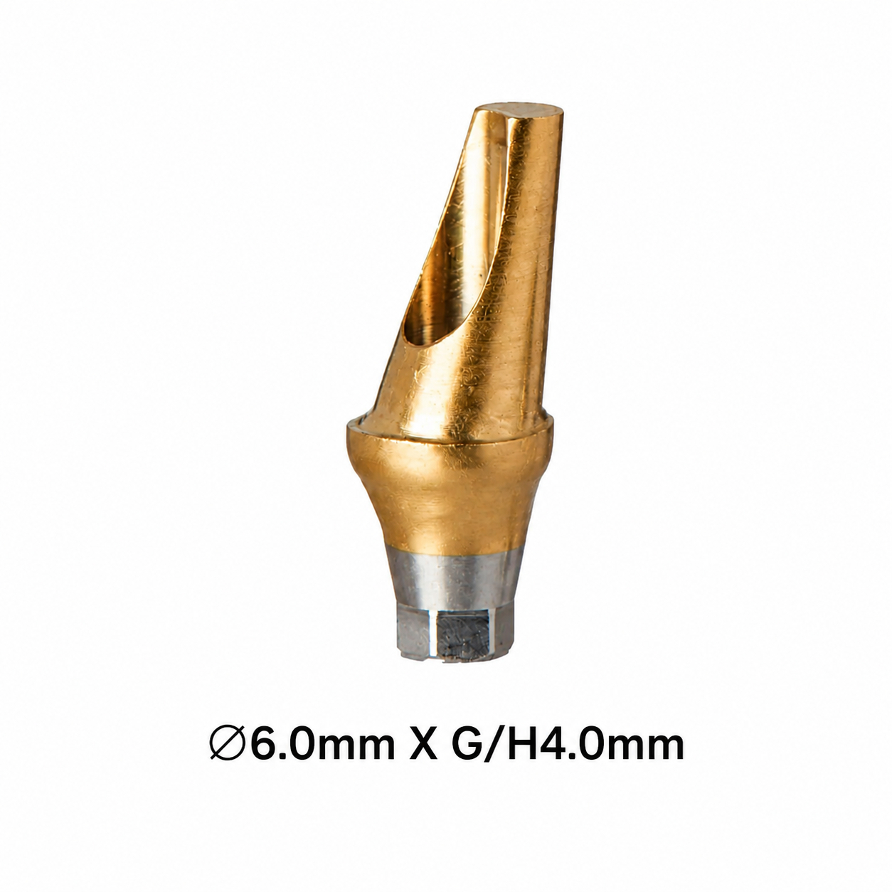 Dentaltech 17° Angular Abutment Regular ∅6.0mm X G/H4.0mm Position A - Osstem Implant Compatible