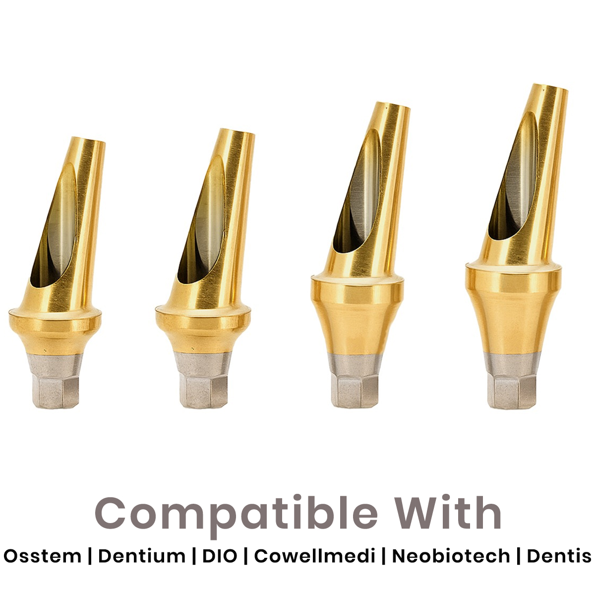 Dentaltech 17° Angular Abutments Regular - Osstem | Dentium | DIO | Cowellmedi | Neobiotech | Dentis Compatible