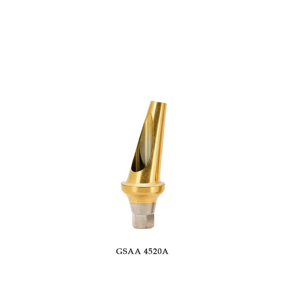 Dentaltech 17° Angular Abutments Regular ∅4.5mm X G/H2.0mm - Osstem | Dentium | DIO | Cowellmedi | Neobiotech | Dentis Compatible (GSAA 4520A)
