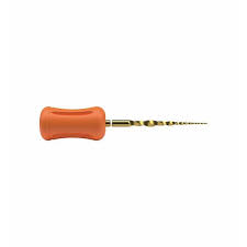Dentsply Protaper Hand File 19mm Sx