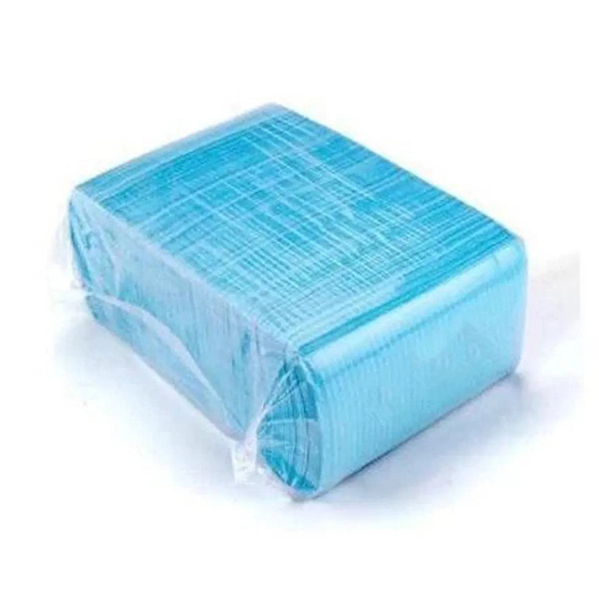 ET Dental Patient Bibs - Blue