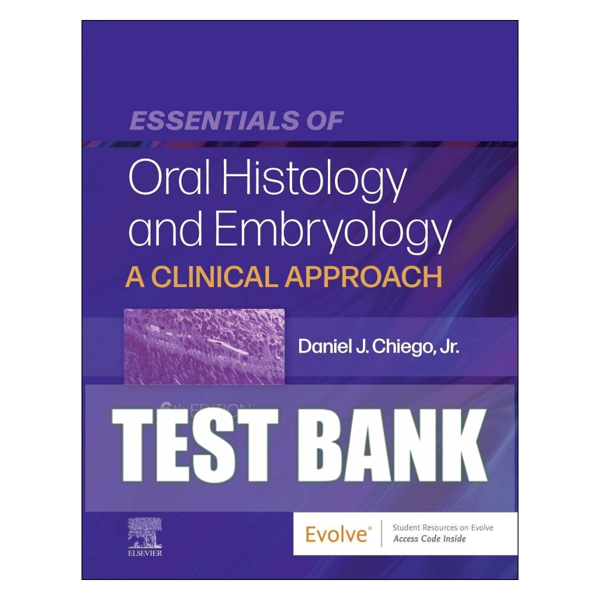 Essentials Of Oral Histology And Embryology: A Clinical Approach 6th Edition (ISBN - 876643)