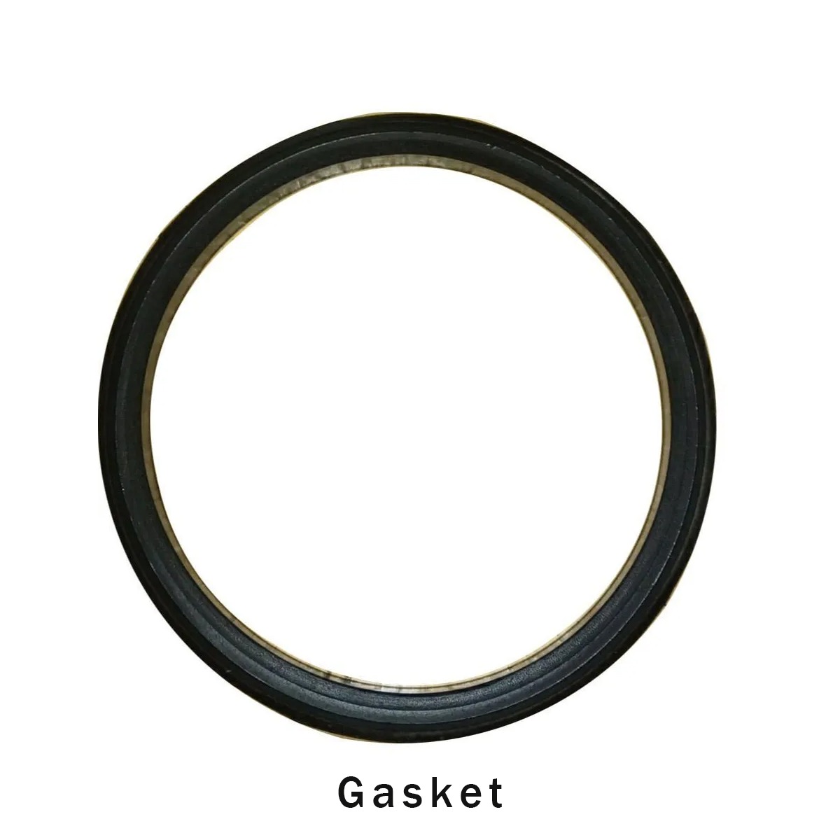Dentis Gasket For Insta-Clave Autoclave with Timer And Drum - 14L