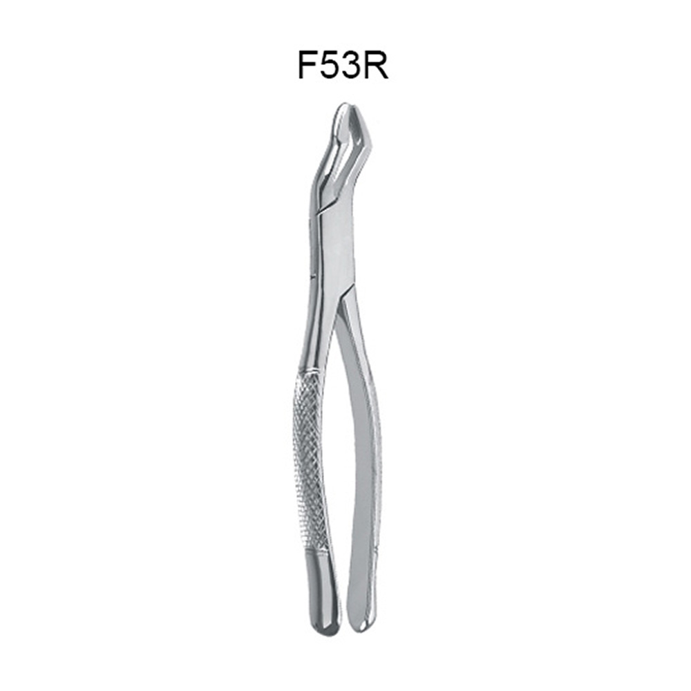 GDC American Forceps Molars First & Second Upper Molar Teeth Right # 53R (F53R)