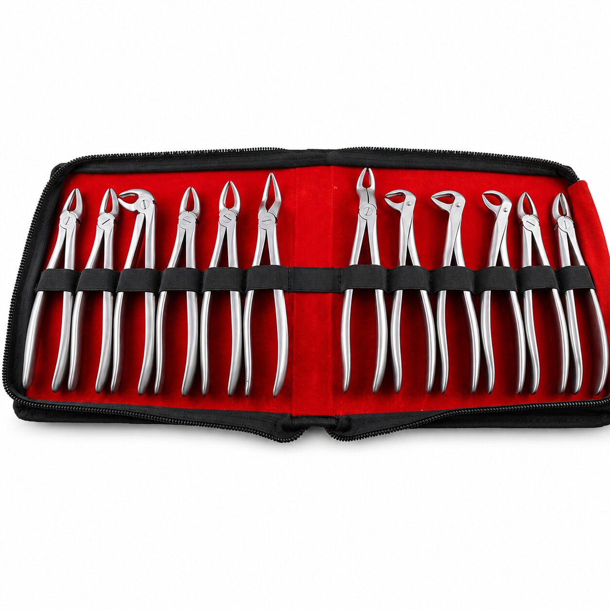 GDC Extraction Forceps Ergonomic In Pouch (EFEP12)