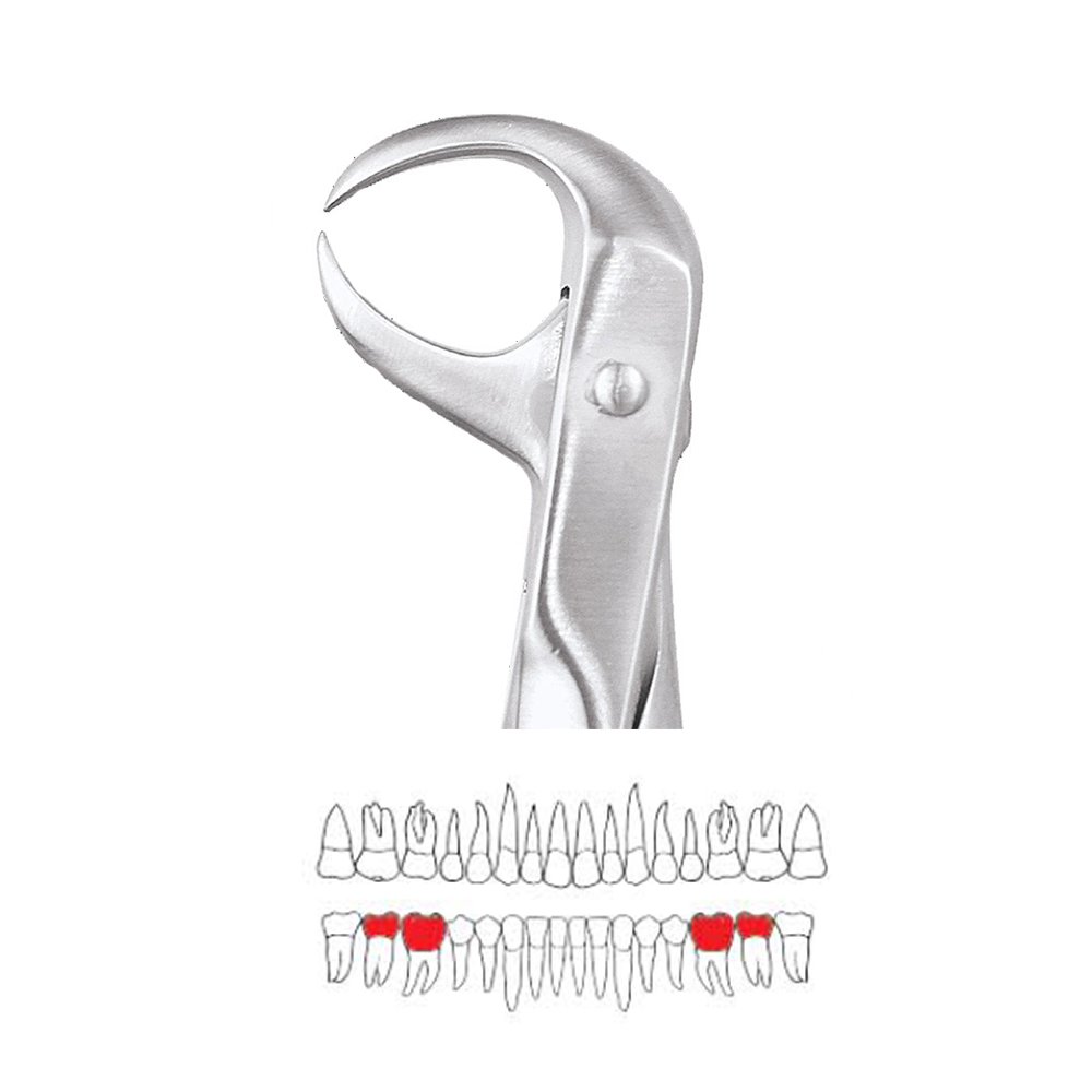 GDC Extraction Forceps Lower Molars - 86 Premium (FX86P)
