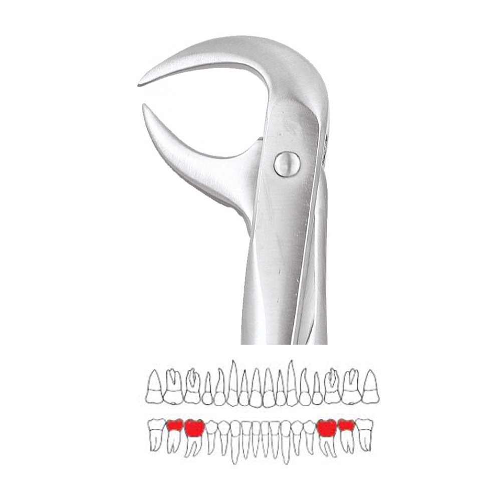 GDC Extraction Forceps Lower Molars - 86A Premium (FX86AP)