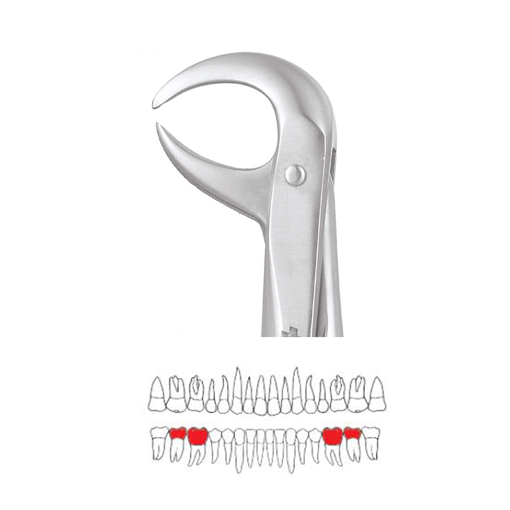GDC Extraction Forceps Lower Molars - 86C Premium (FX86CP)
