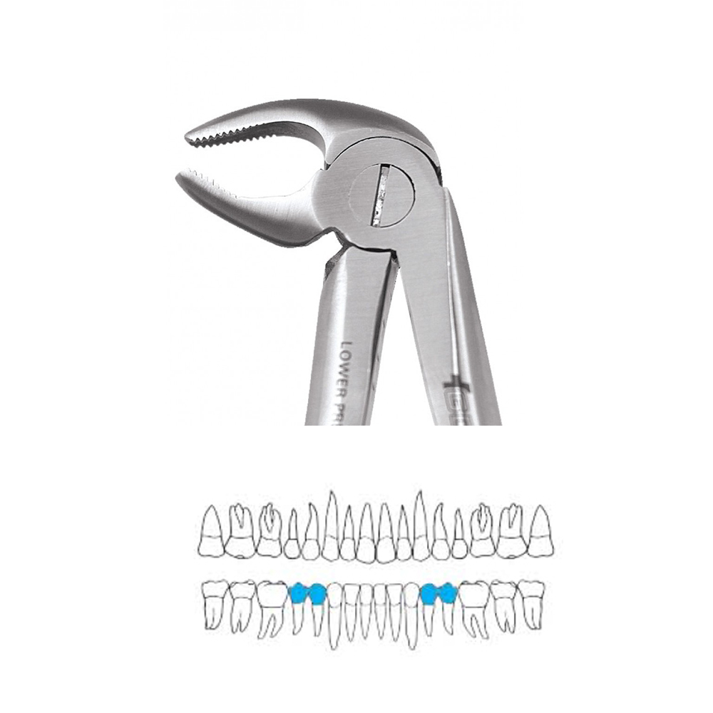 GDC Extraction Forceps Lower Premolars - 13 Ergonomic (Fx13e)