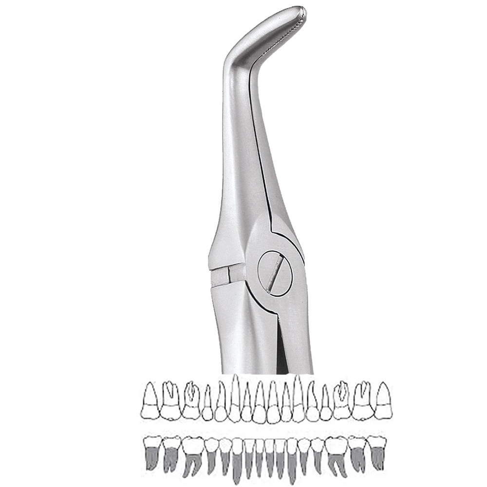 GDC Extraction Forceps Lower Roots - 845.00 Secure (SFX845.00)