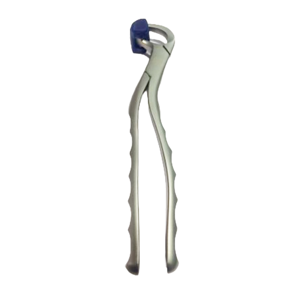 GDC Extraction Forceps Upper Right Physical (Pafx100ur)