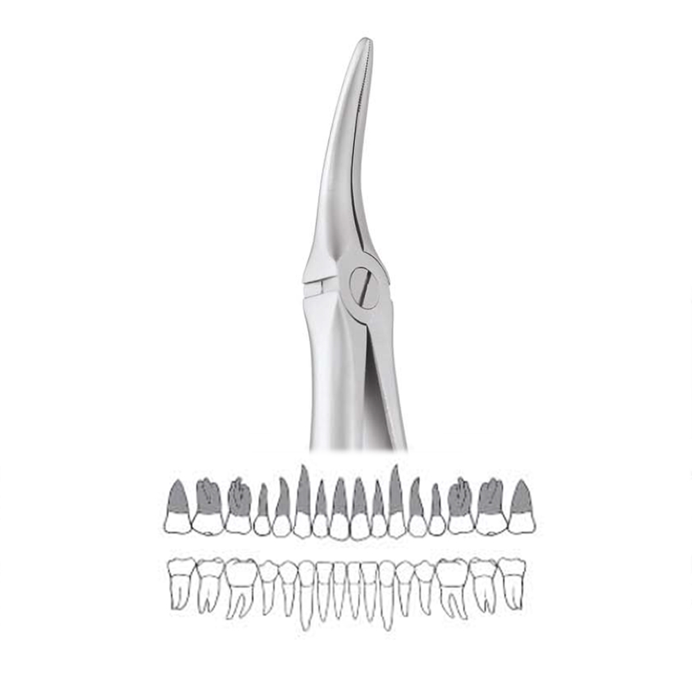 GDC Extraction Forceps Upper Roots - 149.11 Secure (SFX149.11)