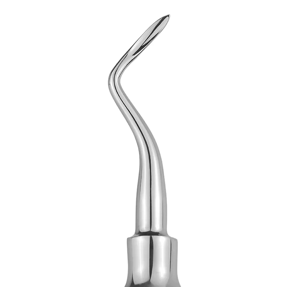 GDC Root Elevators Apical Premium (E2fp)