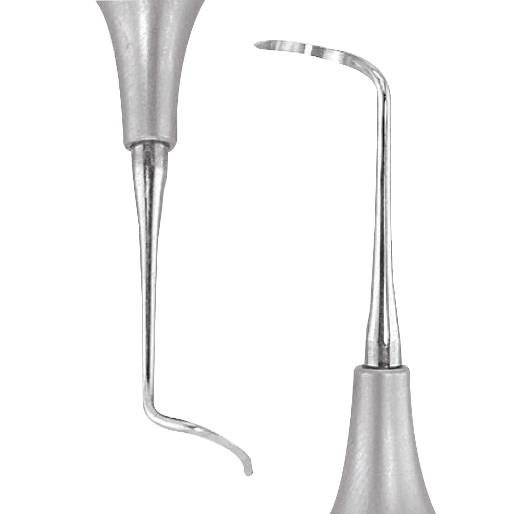 GDC Sickle Scalers Posterior #6 (Scnevi2)