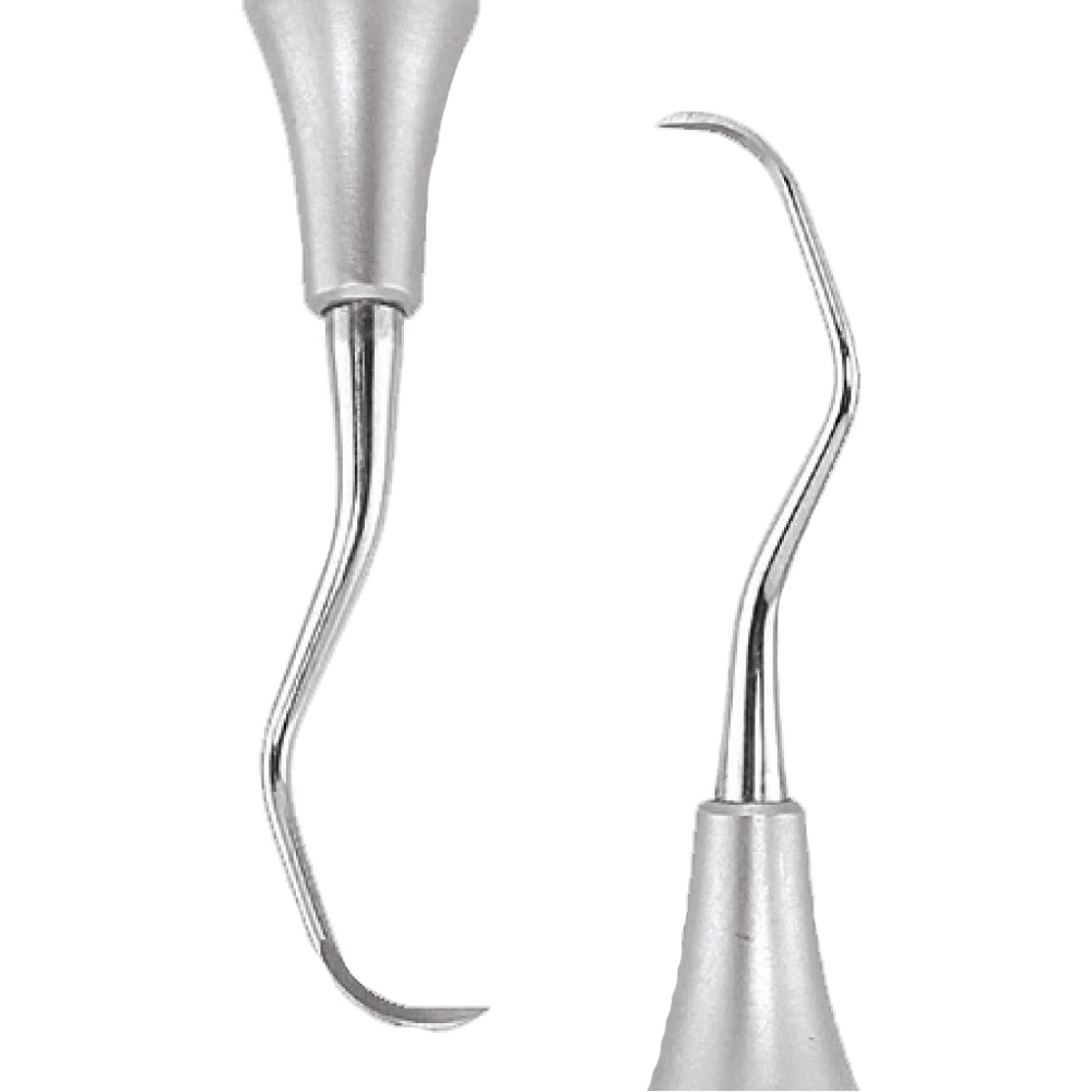 GDC Sickle Scalers Posterior #6 (Sn135)