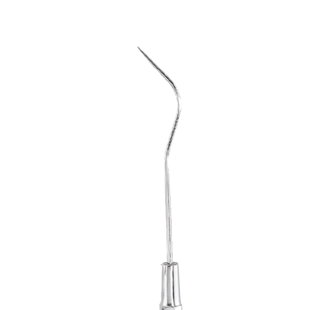 GDC Single End Probe -1 (Exs11)