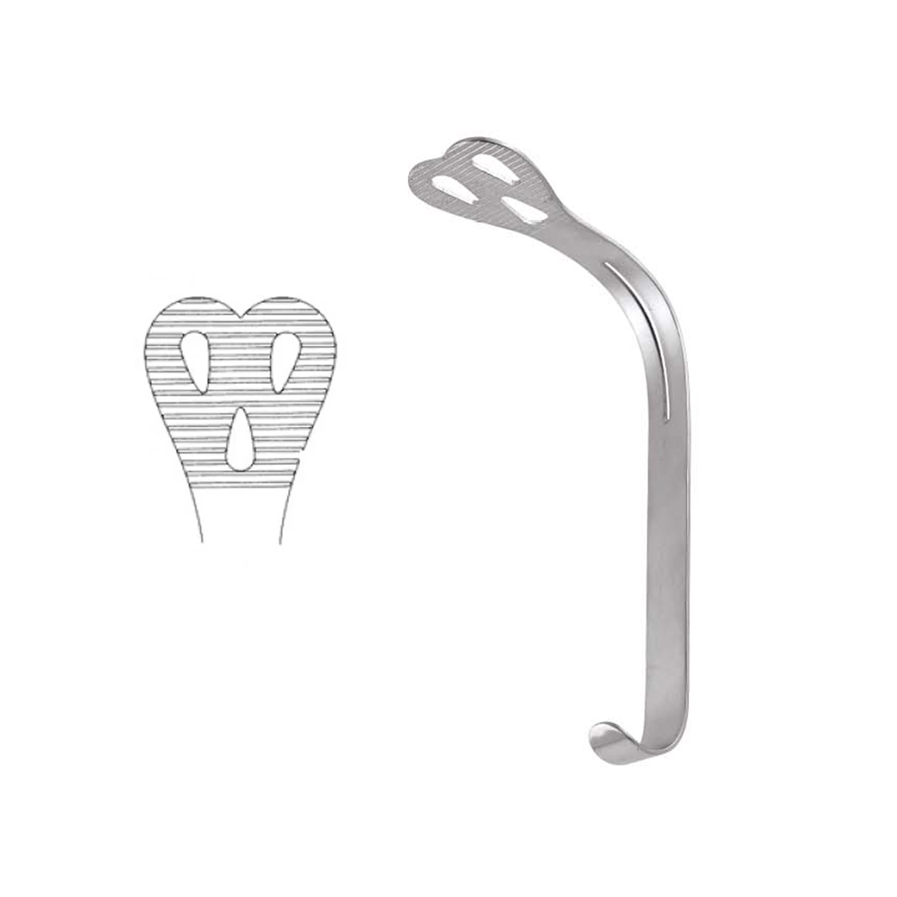 GDC Weider Cheek Tongue Depressor - Large (15cm) (Crw2)