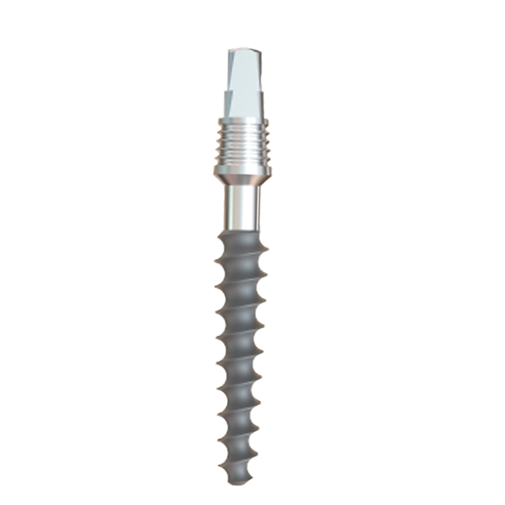GS Implants Rough 3.0mm