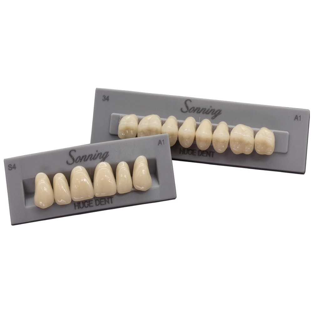 Huge Dental Sonning Acrylic Denture Teeth T1-A1 (Set of 28)