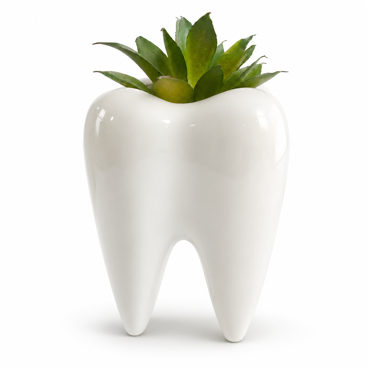 iDENTical Ceramic Tooth Planter with Artificial Succulent Plant