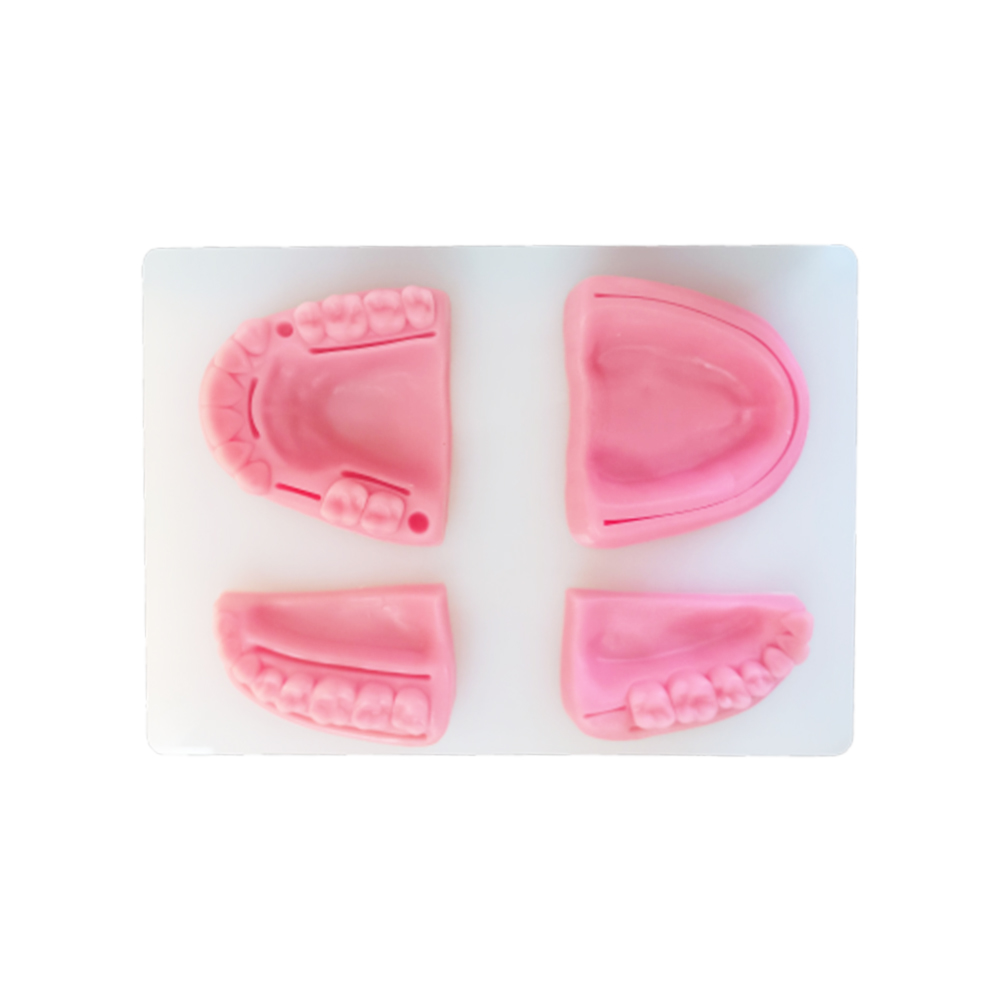 iDENTical Dental Educational Suture Model