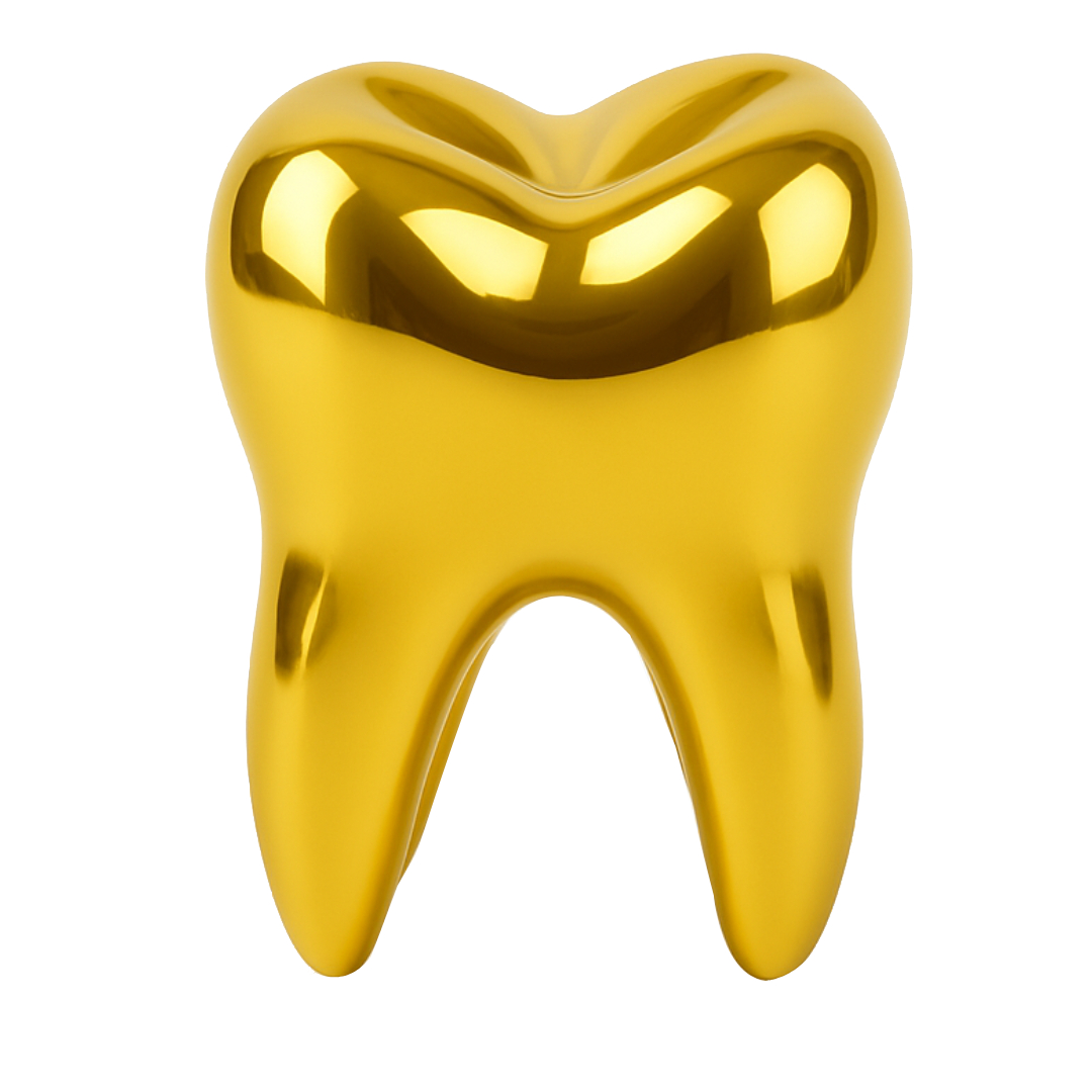 iDENTical Dental Golden Tooth Model ZYR-4042
