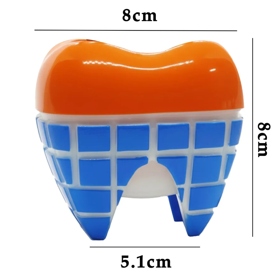 iDENTical Happy Molar Pen Stand