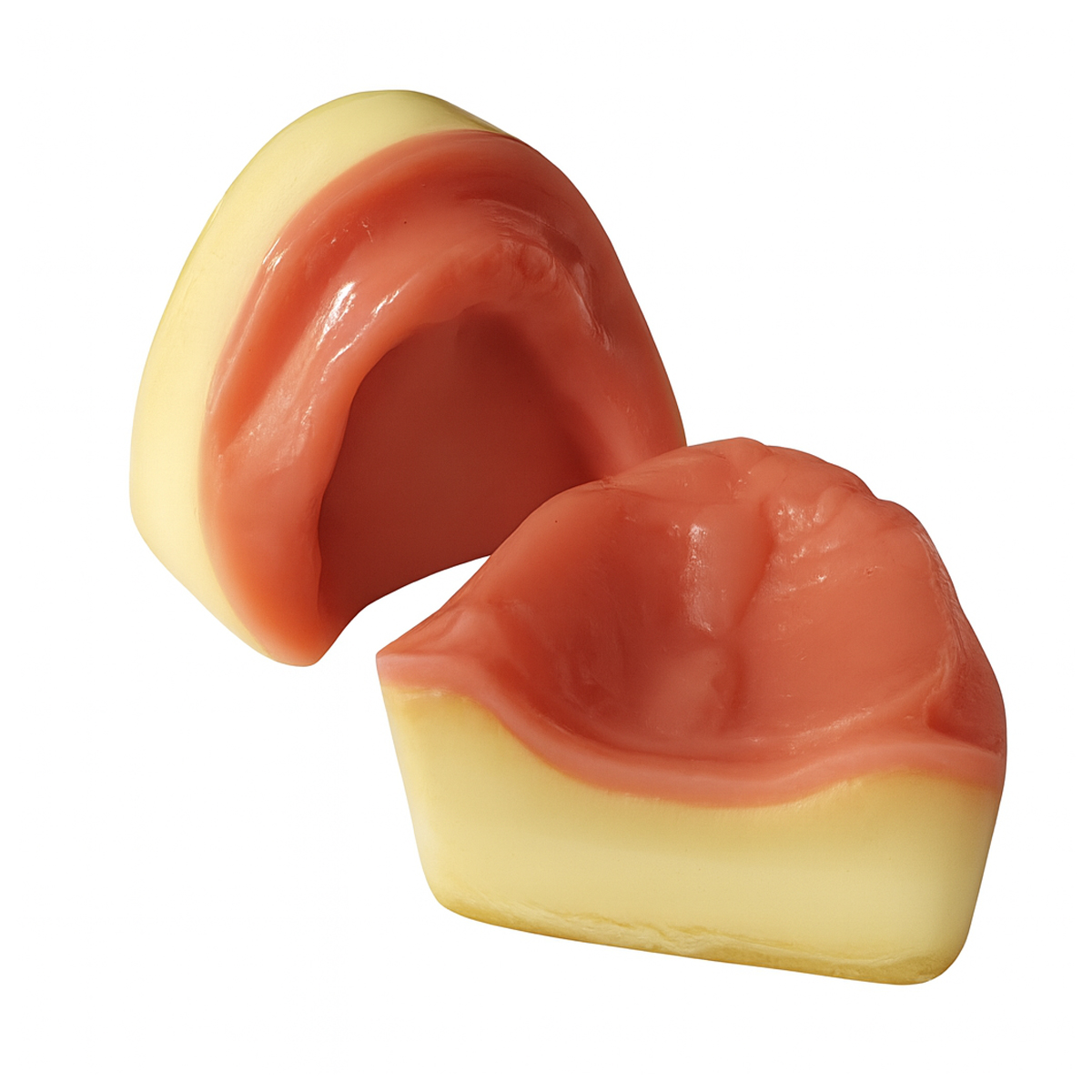 iDENTical Implant Practice Edentulous Model For Overdenture M2053