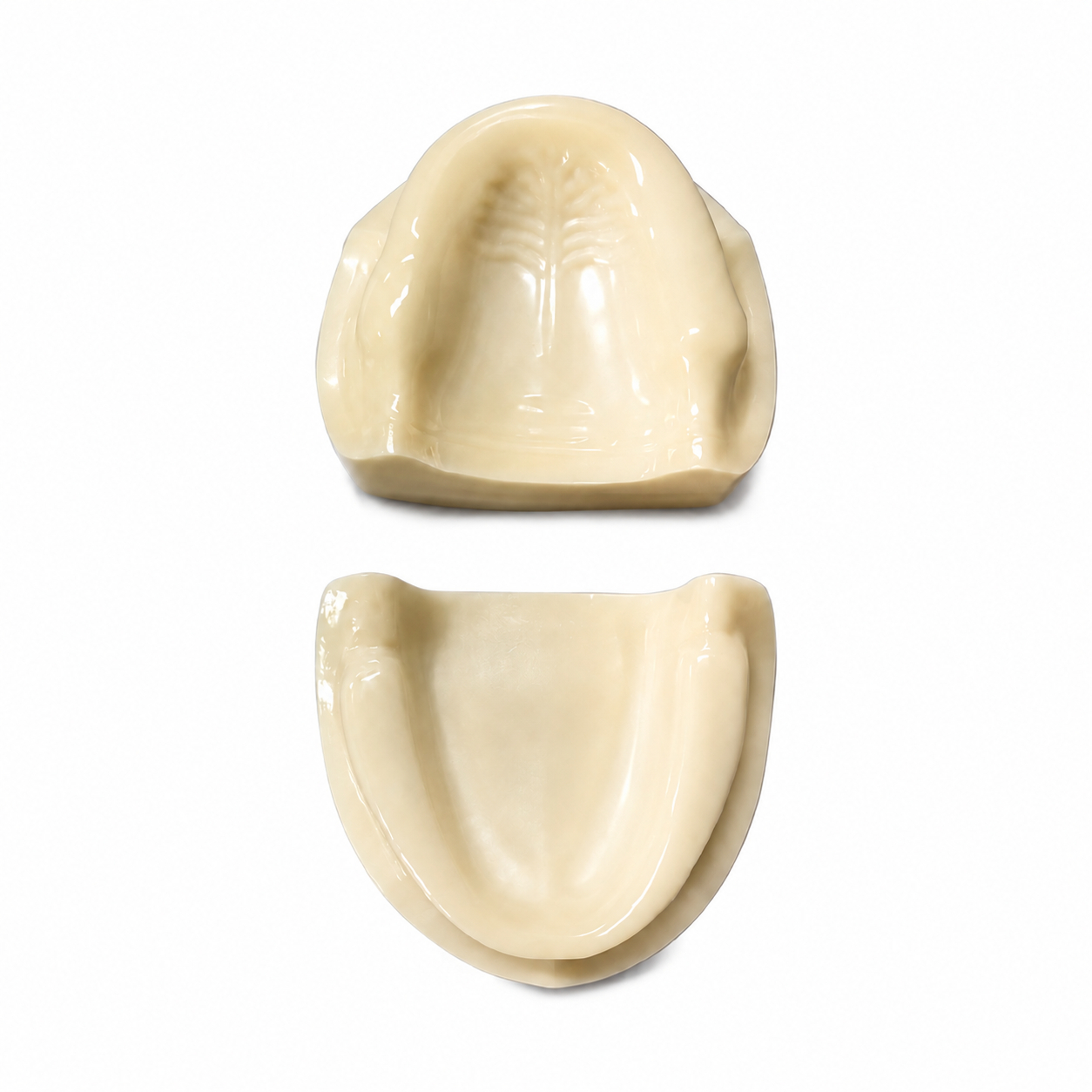 iDENTical Implant Practicing Maxillary & Mandibular Edentulous Models