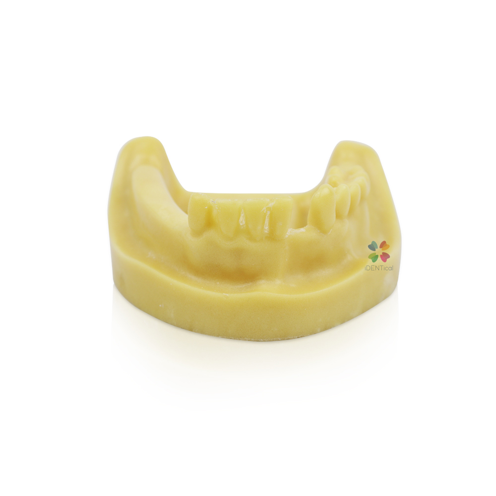 iDENTical Mandibular Implant Practicing Model M2028