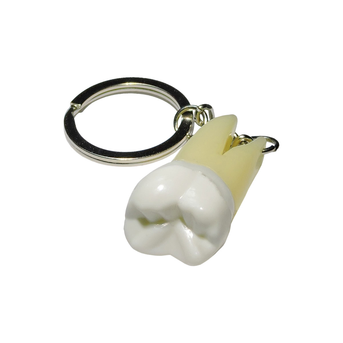 iDENTical Molar Tooth Keychain (Upside Down) - White ZYR-3001