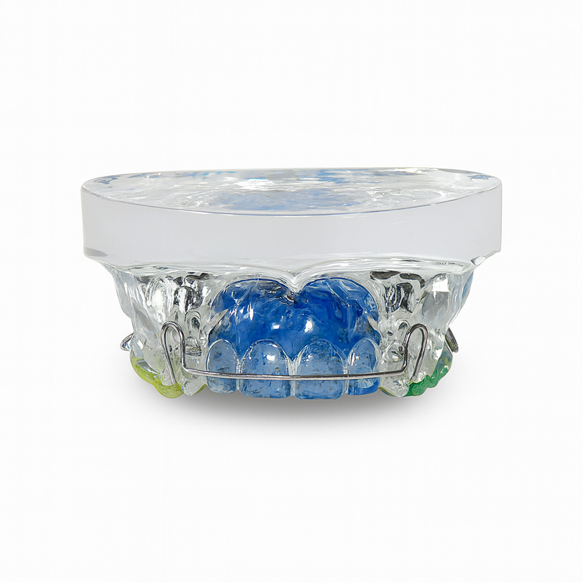 iDENTical Orthodontic Model With Multicolor Retainer M3011