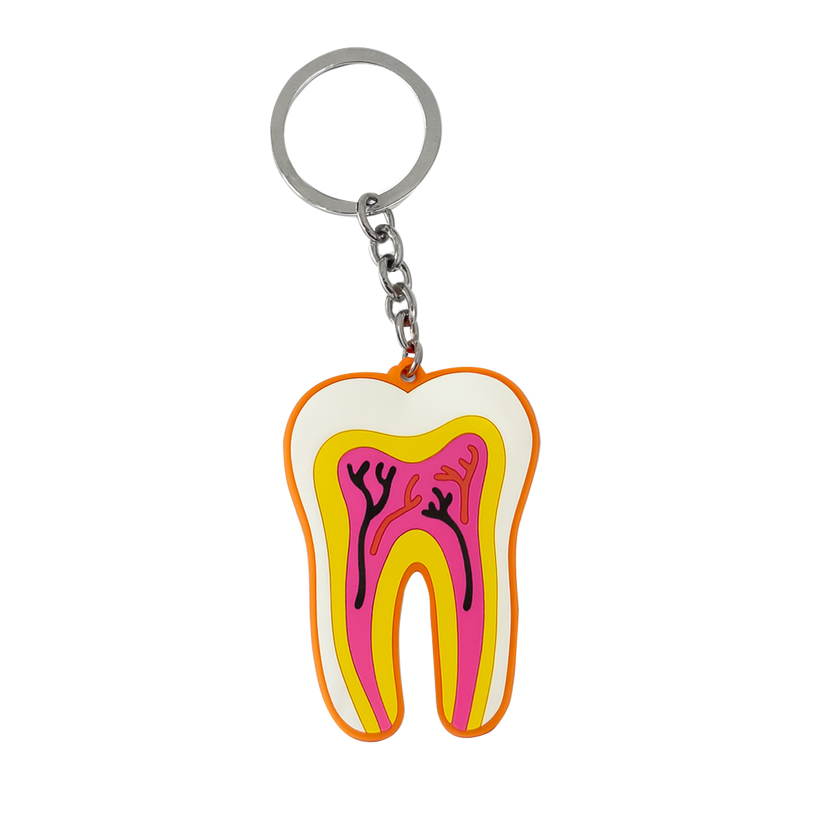 iDENTical Tooth Anatomy Keychain - Multicolor (3027)