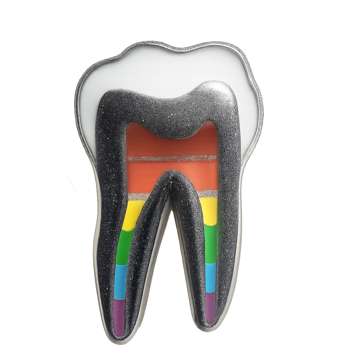 iDENTical Tooth Shape Brooch With Rainbow Nerve Design Pack Of 1 (ZYR-7412)