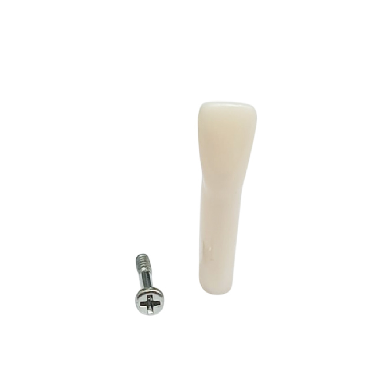 iDENTical Typodonts Lower Right Central Incisor For Frasaco Type Jaw Set Individual M8022 - 41
