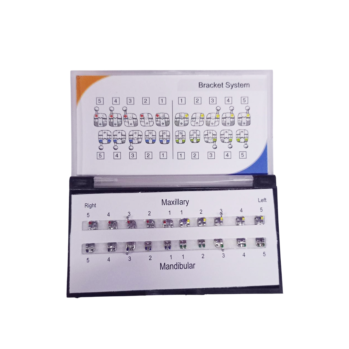 JJ Ortho Orthox Metal Bracket Kit MBT 022 (10.02.200H3)
