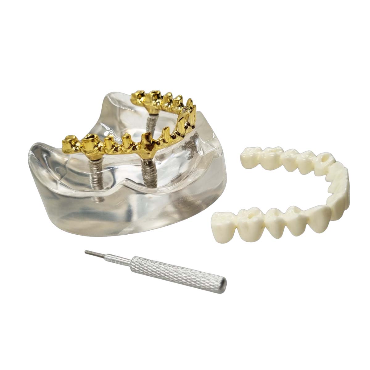 Julldent All On 4 Paulo Malo Models With Prosthesis