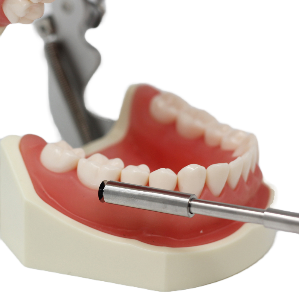 Julldent Bone Scraper Additional Blades