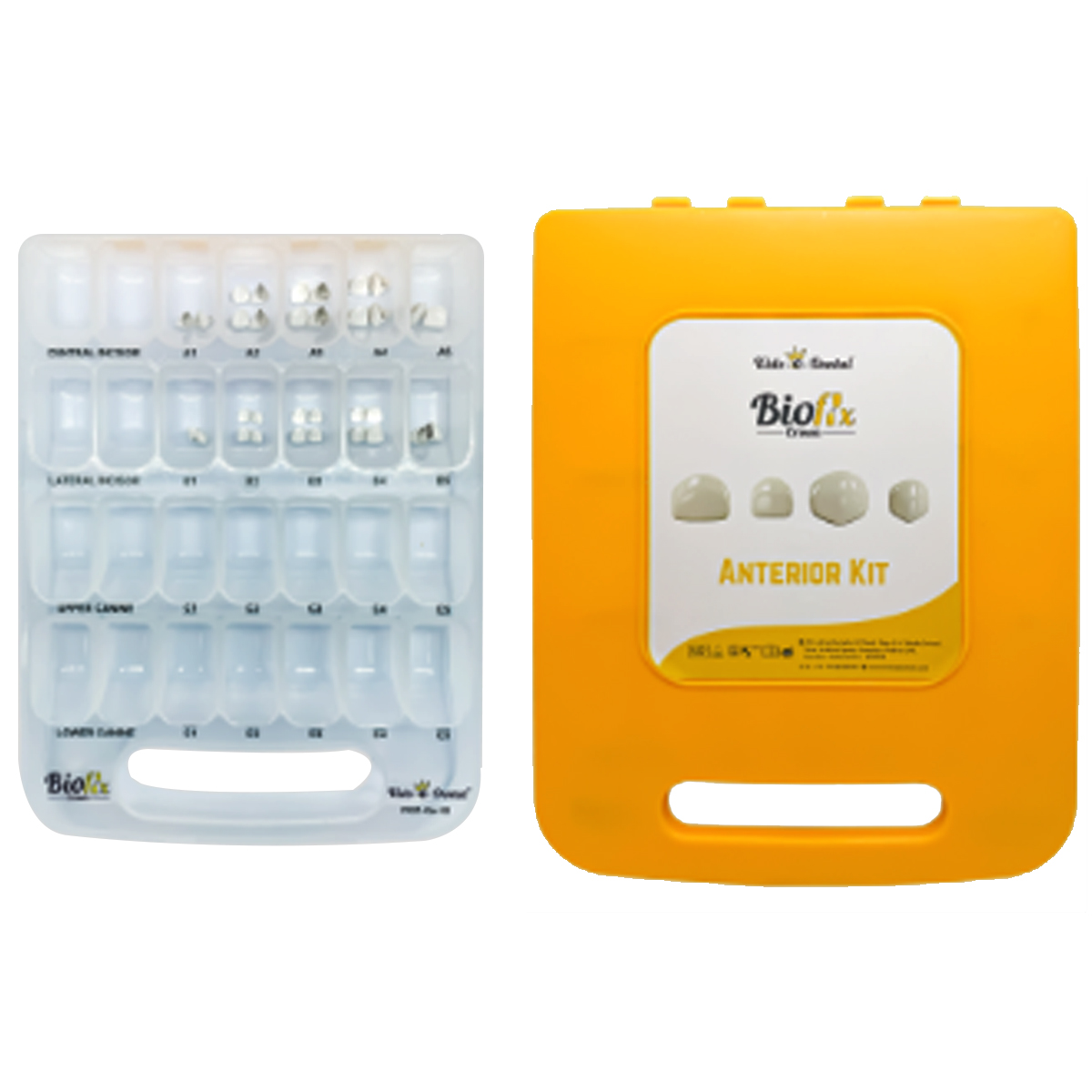 Kids-e-Dental Bioflx Anterior Crown Starter Kit (12 crowns)