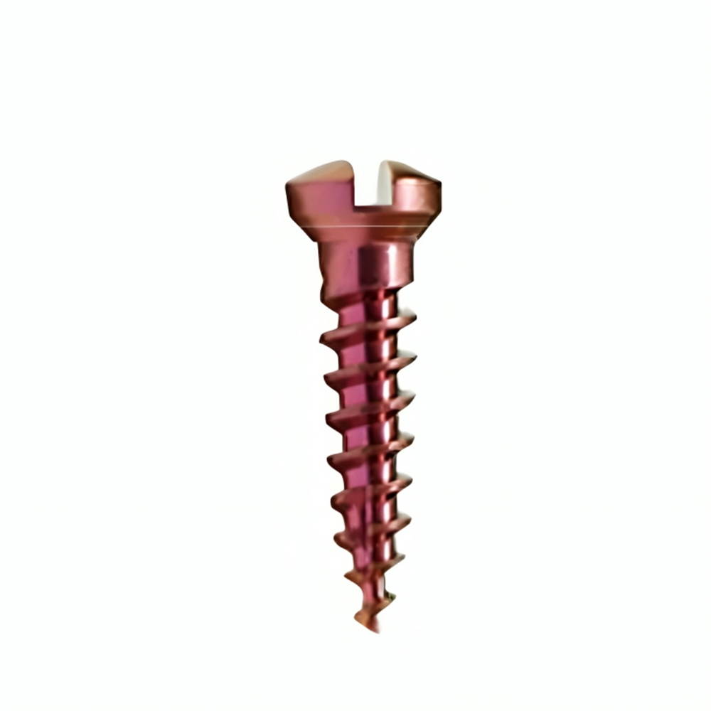 MCTBIO Titanium Bone Screw 1.6mm x 10mm (AU-16-010) - Pack of 5