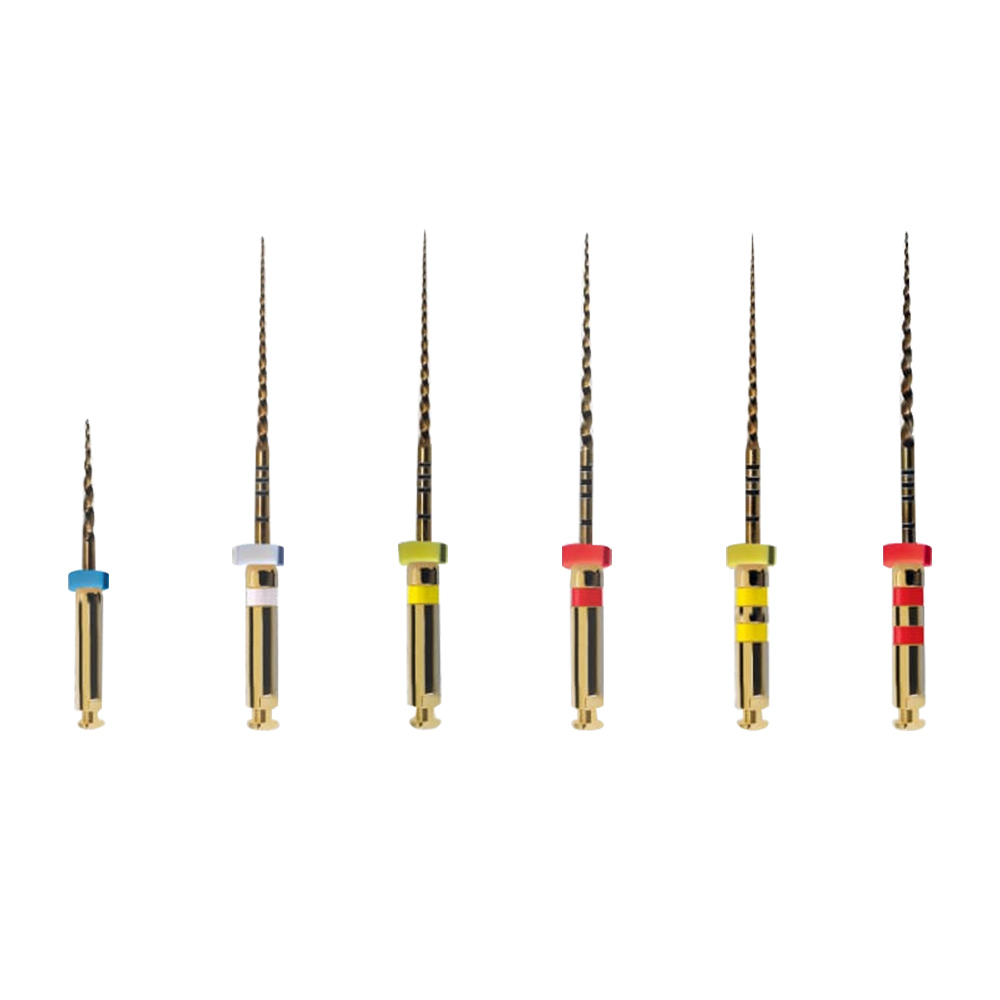 Neoendo Flex Files 21mm Assorted (Pack of 6)
