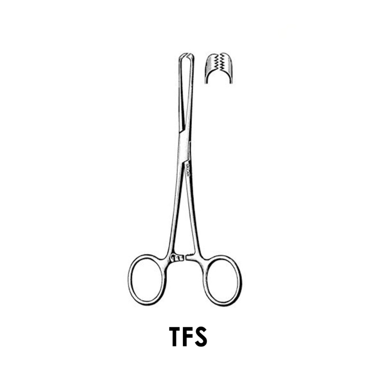 Oracraft Allis Forcep - TFS