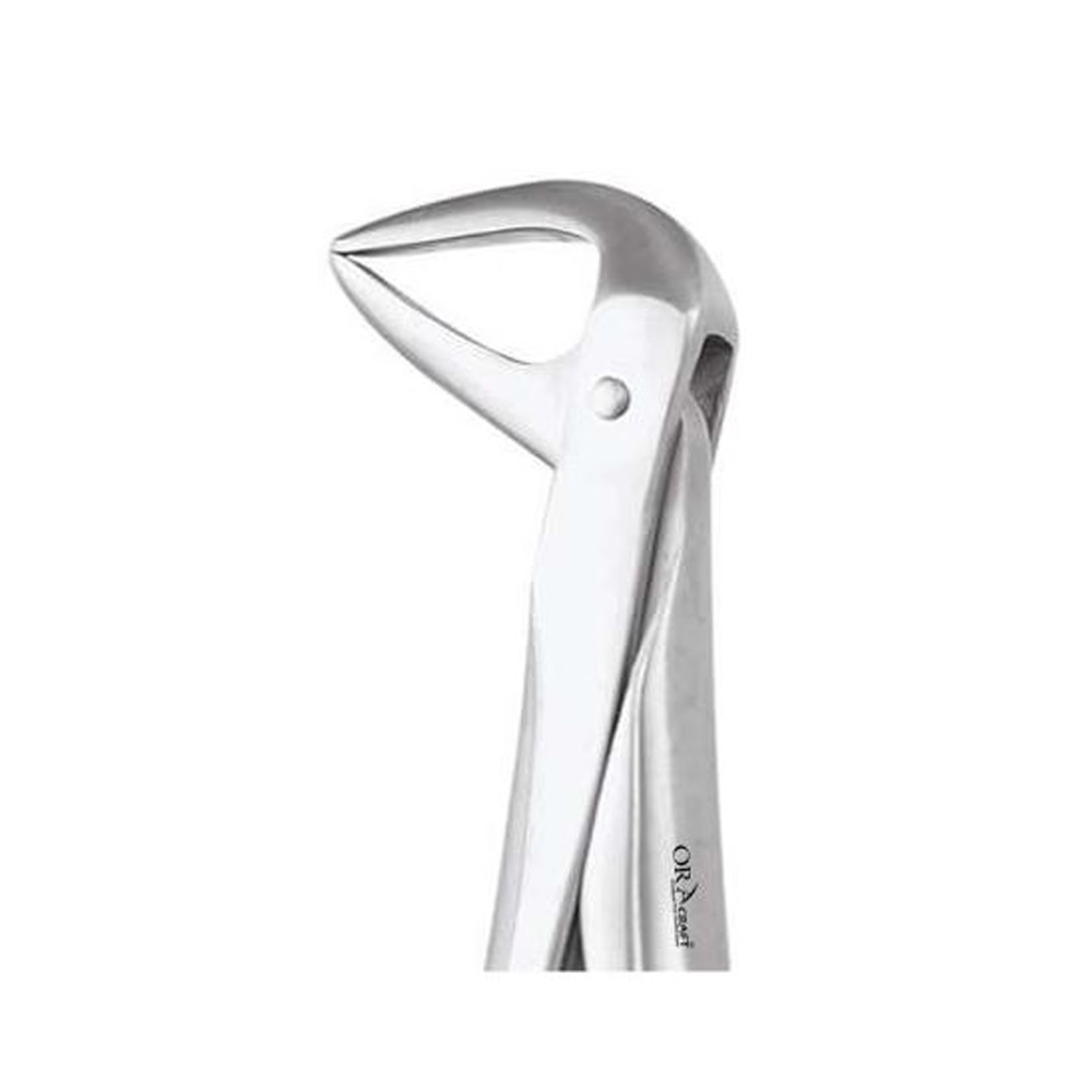 Oracraft Lower Anteriors And Roots Extraction Forceps - Premium (FX74P)